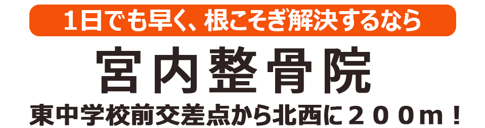 宮内整骨院
